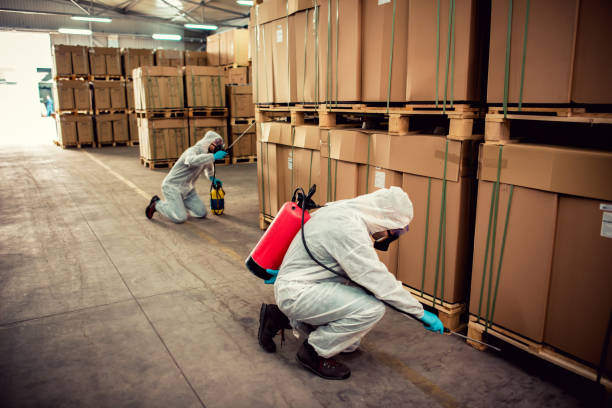 Best Affordable Exterminators  in Brunswick, OH