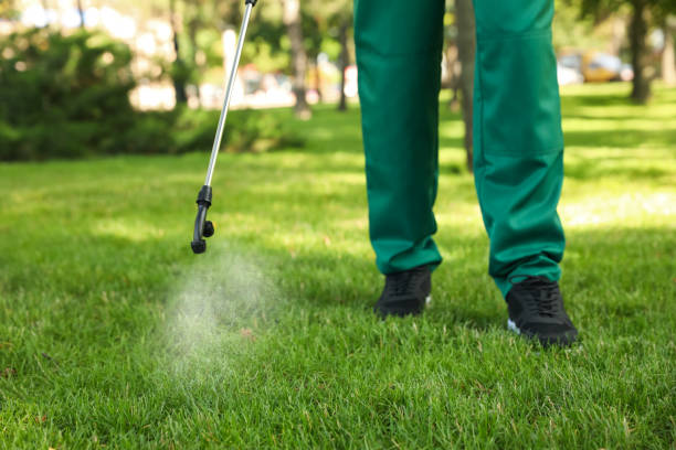 Best Termite Control Services  in Brunswick, OH